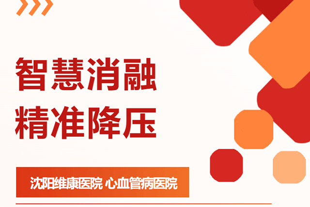 智慧消融 精准降压 | msRDN 技术为难治性高血压开辟全新路径 智慧消融 精准降压 | msRDN 技术为难治性高血压开辟全新路径